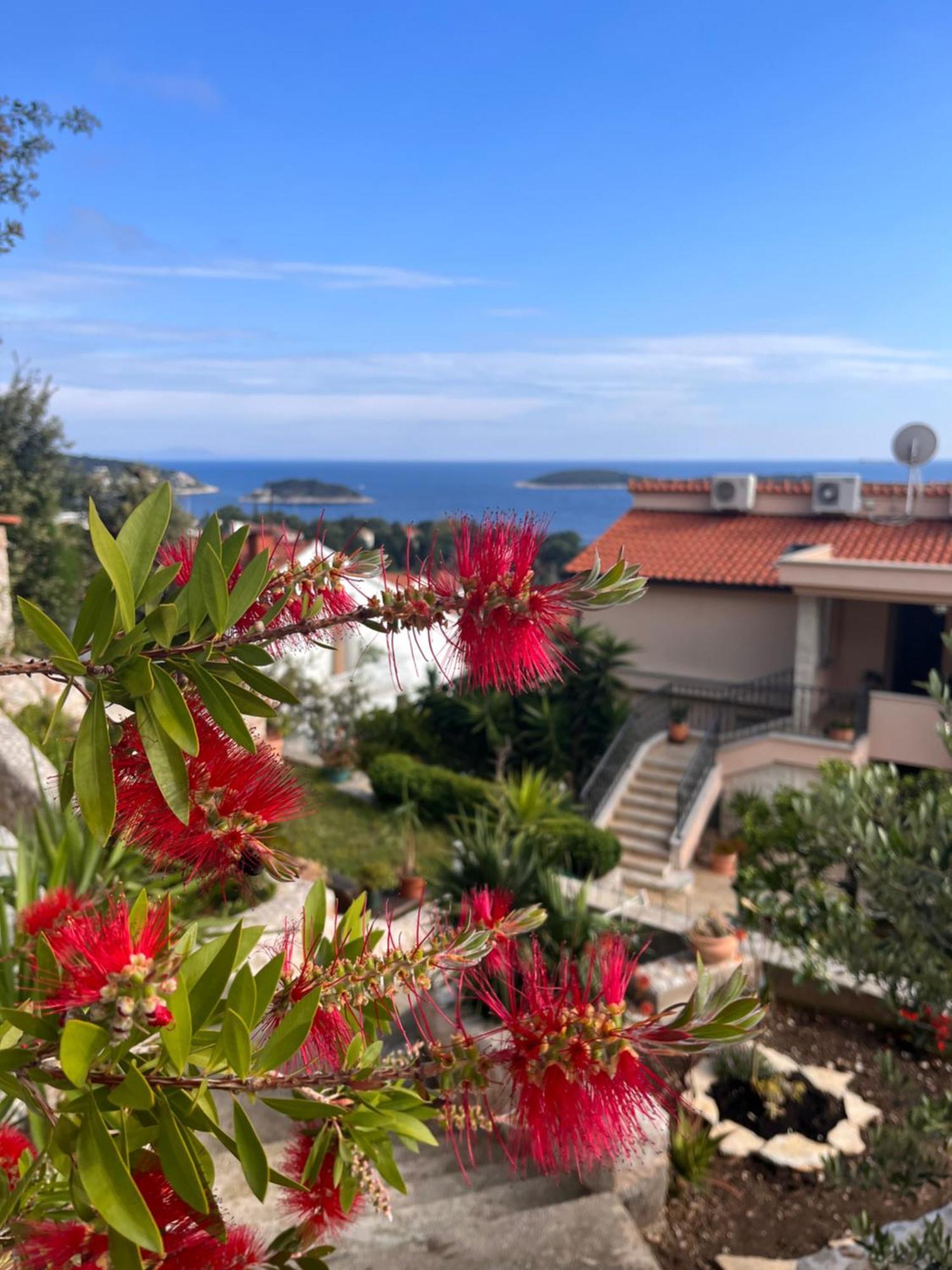 View Hvar Town
